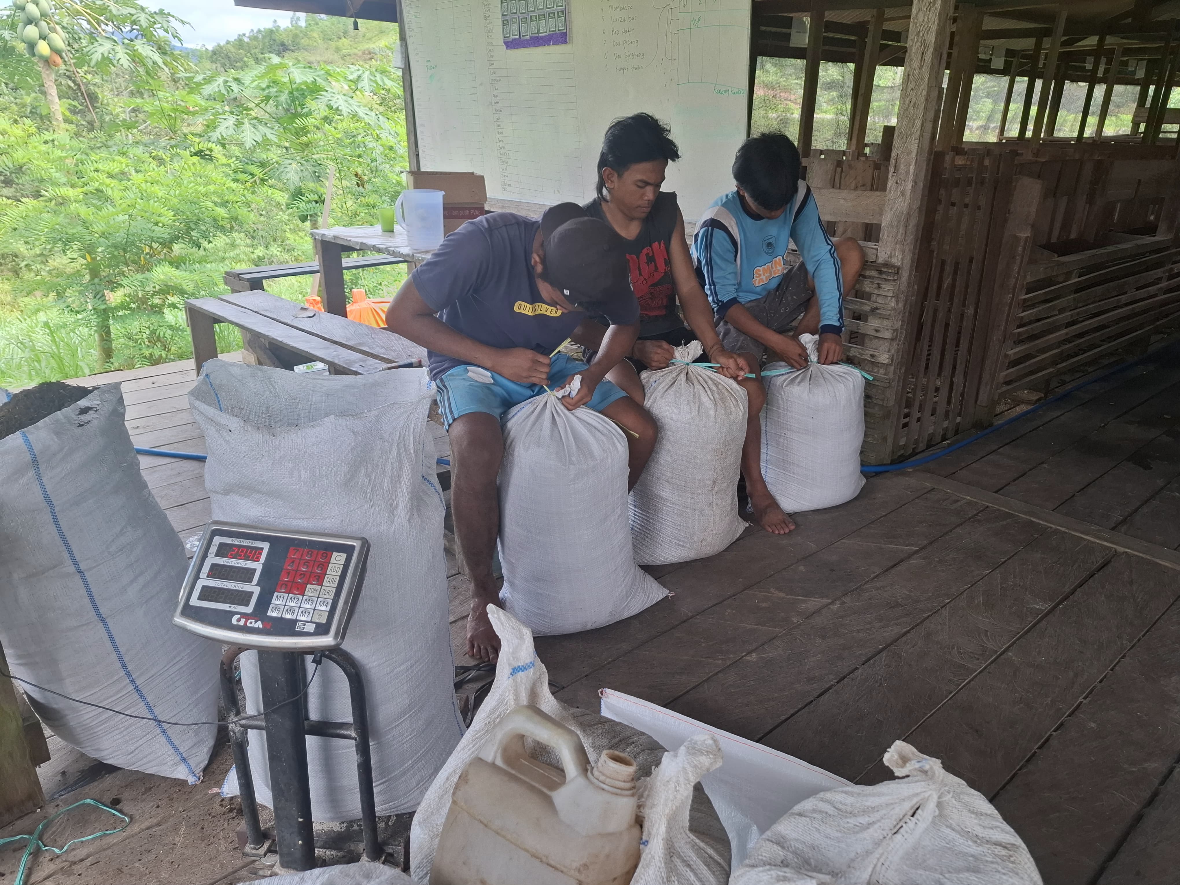 Proses Pemerasan Susu