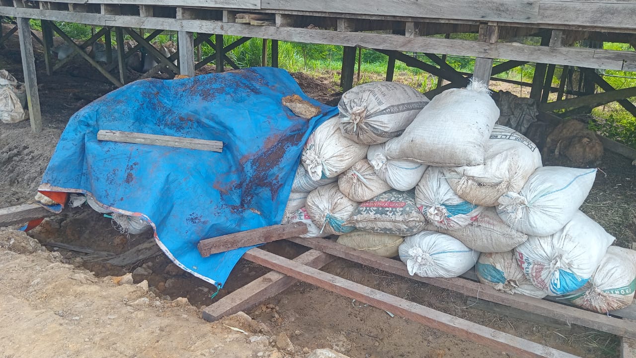 Pemeliharaan Kambing